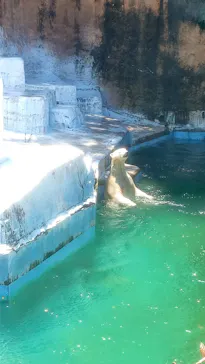 天王寺動物園に投稿された画像（2024/6/3）