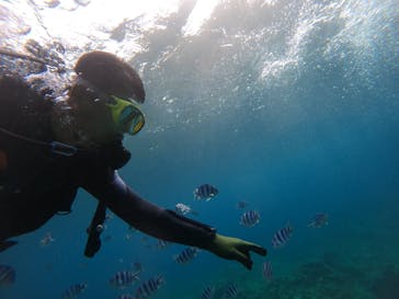 武藤潜水に投稿された画像（2024/6/9）