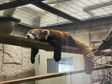 天王寺動物園に投稿された画像（2024/6/9）