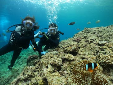 武藤潜水に投稿された画像（2024/6/9）