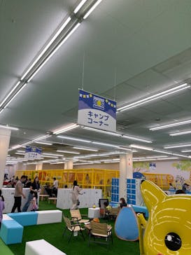キッズランドUS 和歌山店に投稿された画像（2024/6/9）