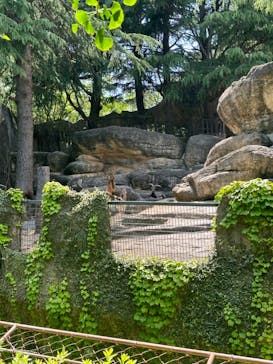 横浜市立金沢動物園に投稿された画像（2024/6/9）