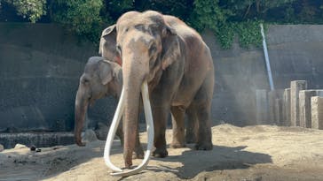 横浜市立金沢動物園に投稿された画像（2024/6/9）
