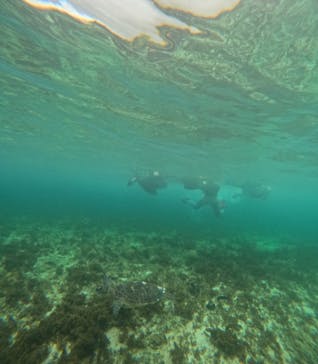  マリンショップHAPPYに投稿された画像（2024/6/9）