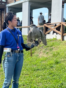那須どうぶつ王国に投稿された画像（2024/6/9）
