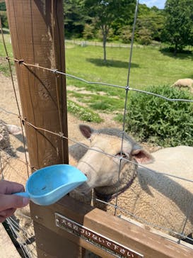 那須どうぶつ王国に投稿された画像（2024/6/9）