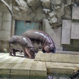 NIFREL（ニフレル）に投稿された画像（2024/6/9）