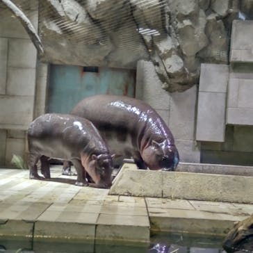 NIFREL（ニフレル）に投稿された画像（2024/6/9）