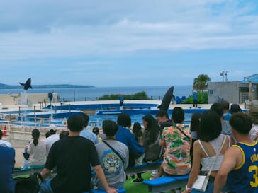 沖縄美ら海水族館（館内体験）に投稿された画像（2024/6/9）