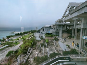 沖縄美ら海水族館（館内体験）に投稿された画像（2024/6/9）
