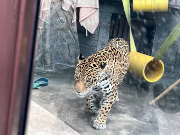 天王寺動物園に投稿された画像（2024/6/9）