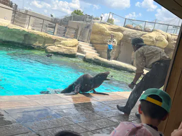 天王寺動物園に投稿された画像（2024/6/9）