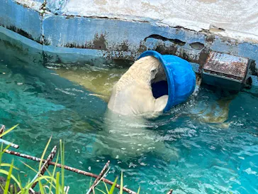 天王寺動物園に投稿された画像（2024/6/9）