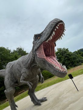 福井県立恐竜博物館に投稿された画像（2024/6/9）