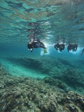 沖縄マリンサービス碧に投稿された画像（2024/6/9）