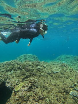 沖縄マリンサービス碧に投稿された画像（2024/6/9）