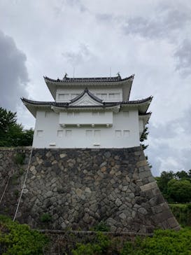 名古屋城に投稿された画像（2024/6/9）