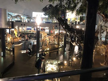 福井県立恐竜博物館に投稿された画像（2024/6/9）