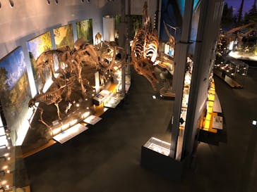 福井県立恐竜博物館に投稿された画像（2024/6/9）