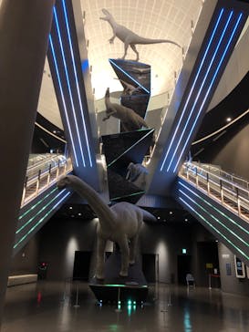 福井県立恐竜博物館に投稿された画像（2024/6/9）