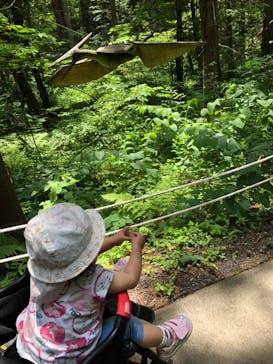 福井県立恐竜博物館に投稿された画像（2024/6/9）