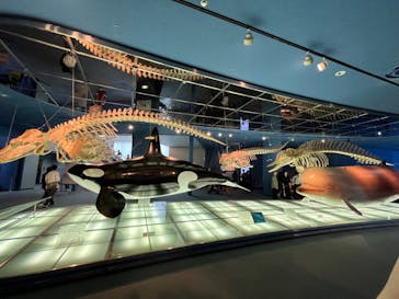 名古屋港水族館に投稿された画像（2024/6/9）