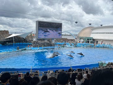 名古屋港水族館に投稿された画像（2024/6/9）