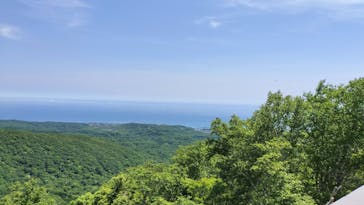 のぼりべつクマ牧場に投稿された画像（2024/6/9）