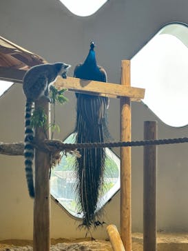 NIFREL（ニフレル）に投稿された画像（2024/6/9）