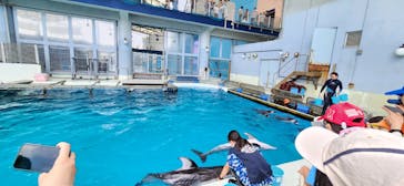 横浜・八景島シーパラダイスに投稿された画像（2024/6/9）