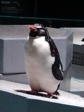 AOAO SAPPOROに投稿された画像（2024/6/9）