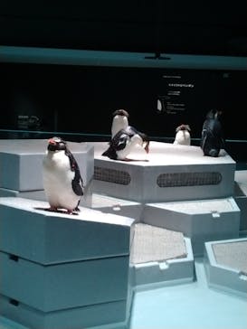 AOAO SAPPOROに投稿された画像（2024/6/9）