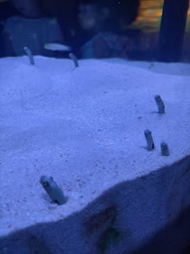 マリンワールド海の中道に投稿された画像（2024/6/9）