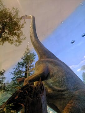 福井県立恐竜博物館に投稿された画像（2024/6/9）