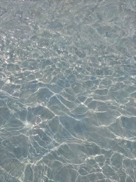 東京サマーランドに投稿された画像（2024/6/9）