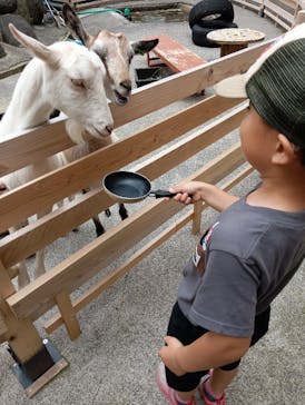 おさるランド＆アニタウン　日光さる軍団劇場に投稿された画像（2024/6/9）