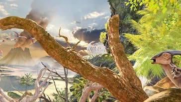 アソビュー株式会社 161694に投稿された画像（2024/6/9）