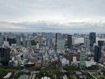東京タワーに投稿された画像（2024/6/9）
