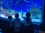 新江ノ島水族館に投稿された画像（2024/6/9）