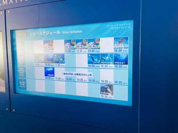 新江ノ島水族館に投稿された画像（2024/6/9）