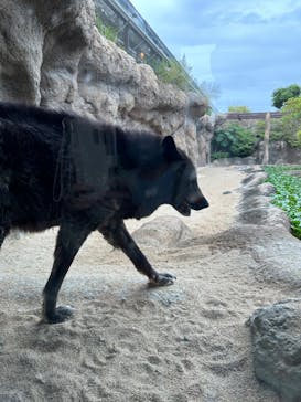 神戸どうぶつ王国に投稿された画像（2024/6/9）