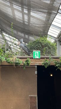 神戸どうぶつ王国に投稿された画像（2024/6/9）