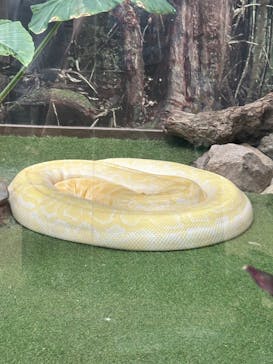 神戸どうぶつ王国に投稿された画像（2024/6/9）