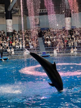 マクセル アクアパーク品川に投稿された画像（2024/6/9）