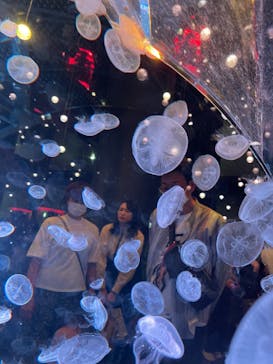 マクセル アクアパーク品川に投稿された画像（2024/6/9）