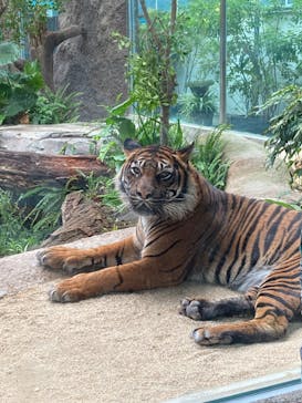 神戸どうぶつ王国に投稿された画像（2024/6/9）