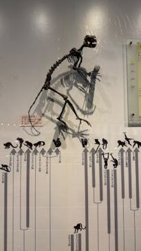 福井県立恐竜博物館に投稿された画像（2024/6/9）