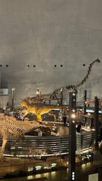 福井県立恐竜博物館に投稿された画像（2024/6/9）