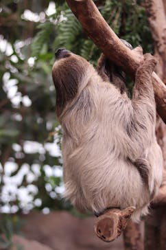 神戸どうぶつ王国に投稿された画像（2024/6/9）