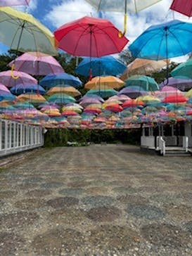 十勝ヒルズに投稿された画像（2024/6/9）